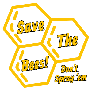 Live Bee removal